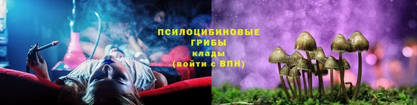 крисы Бронницы