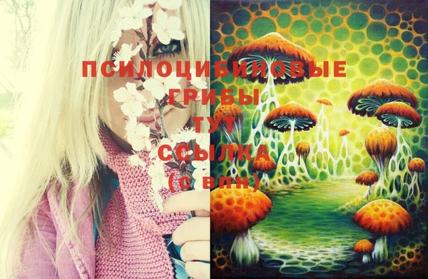 каннабис Бородино