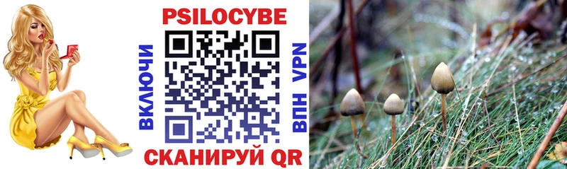 Псилоцибиновые грибы Cubensis  наркошоп  Карабаново 